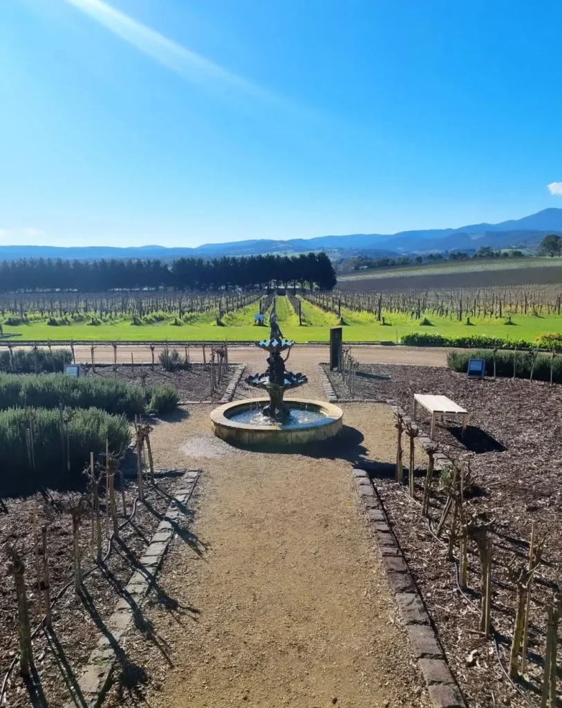 How to Do a Yarra Valley Winery Tour Without a Car: Best Options & Tips