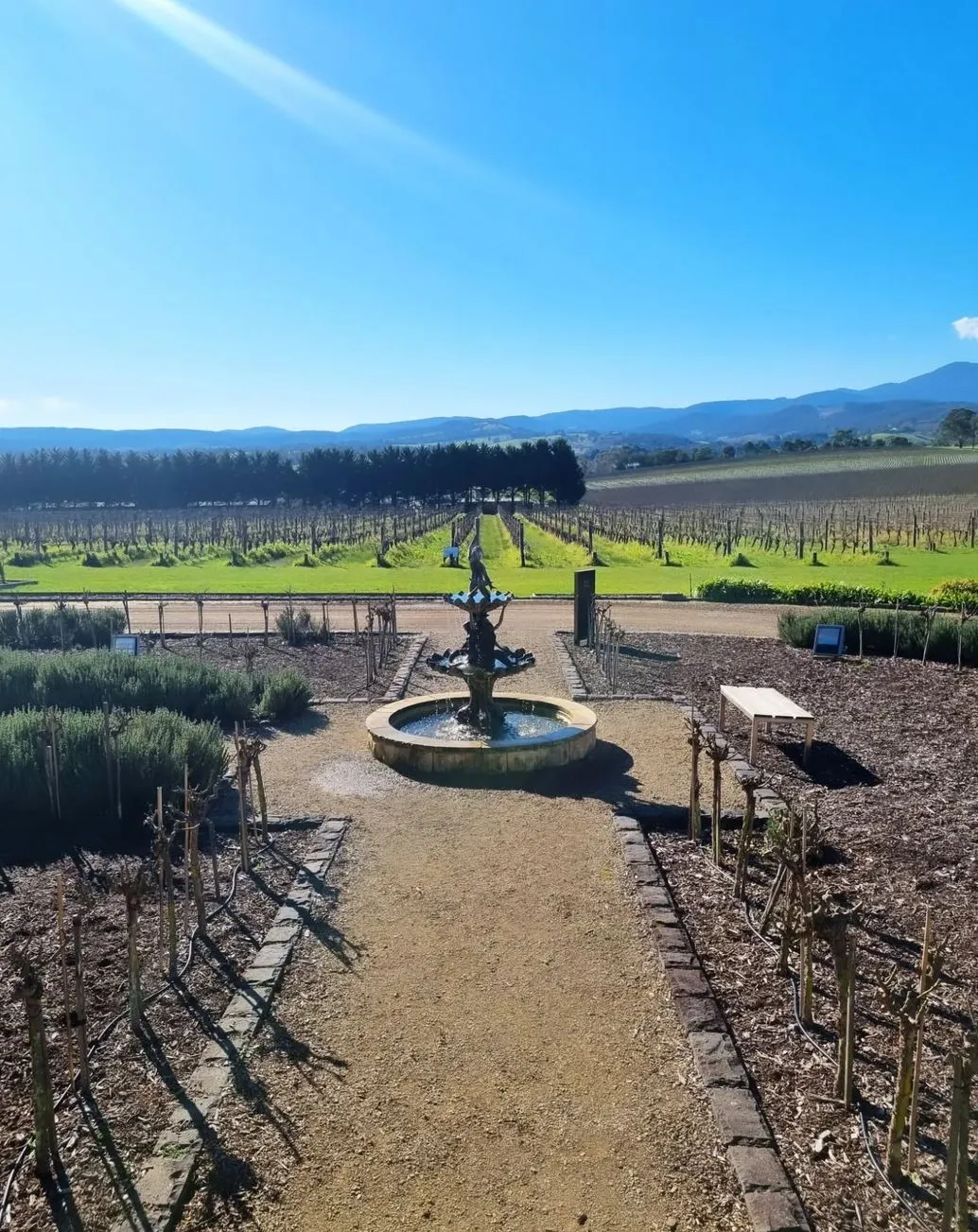 How to Do a Yarra Valley Winery Tour Without a Car