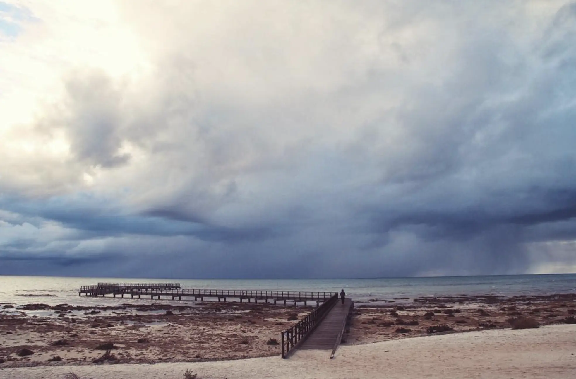 Shark Bay WA