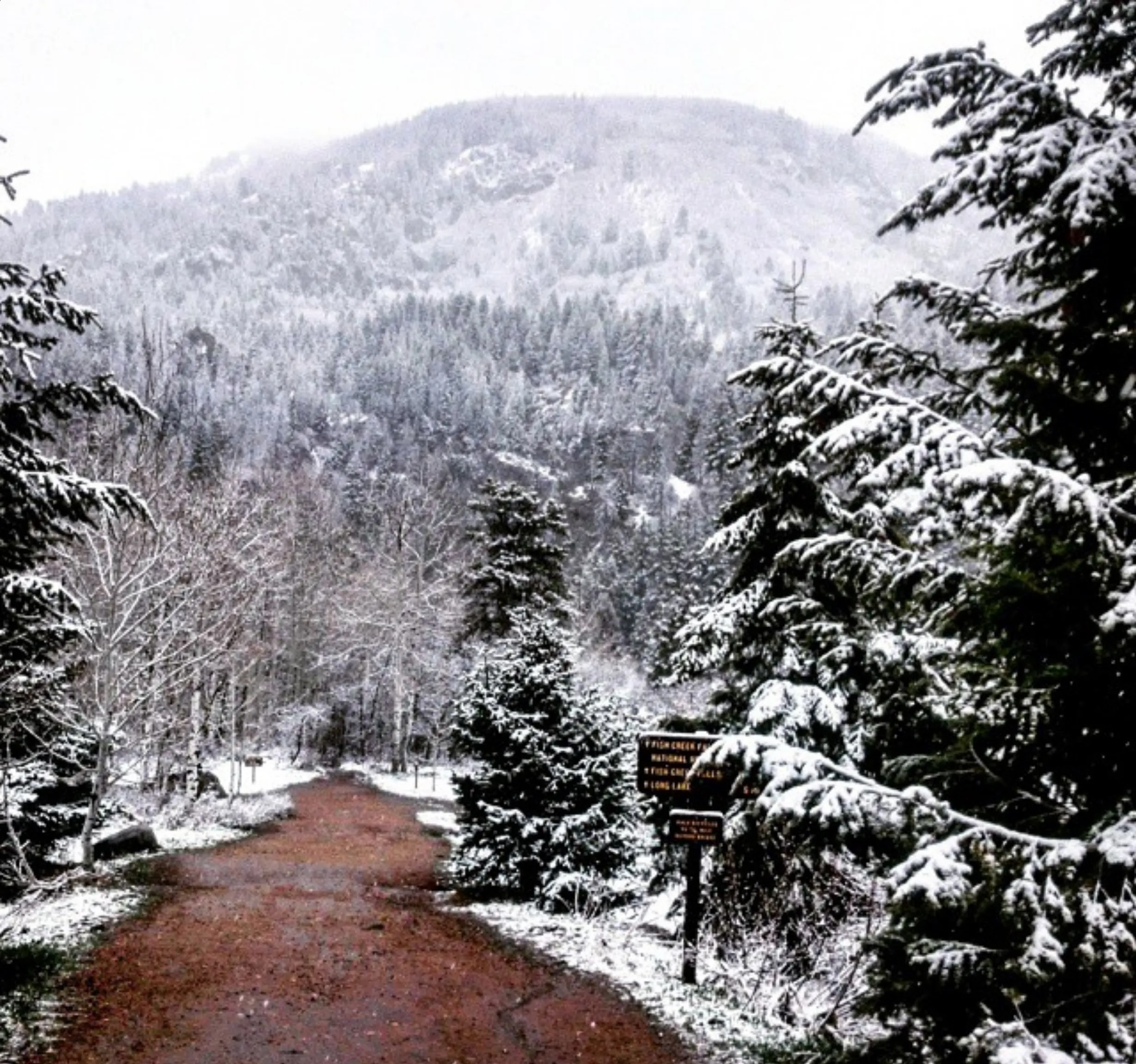 Snow Trip in Australia