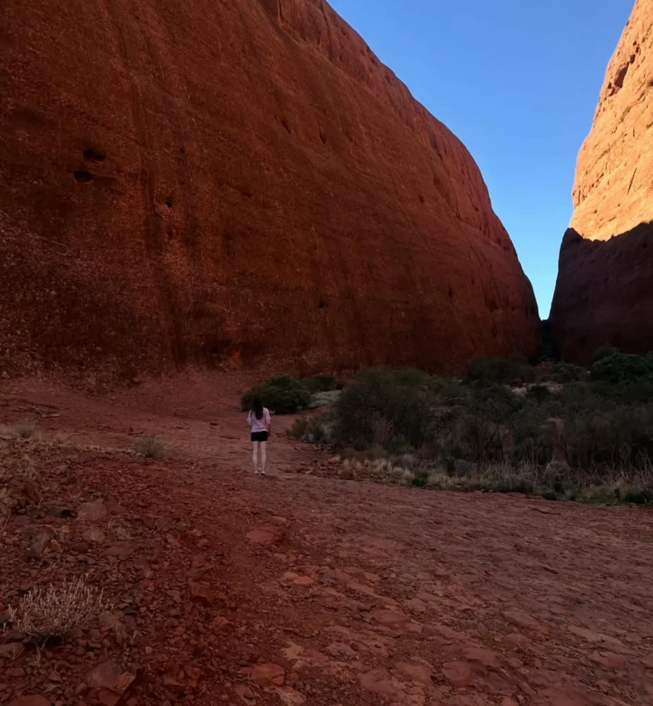 Alice Springs to Uluru tours