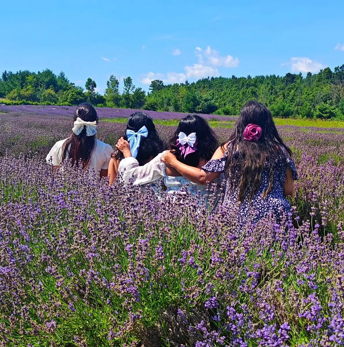 Why Flower Timing Changes Every Year
