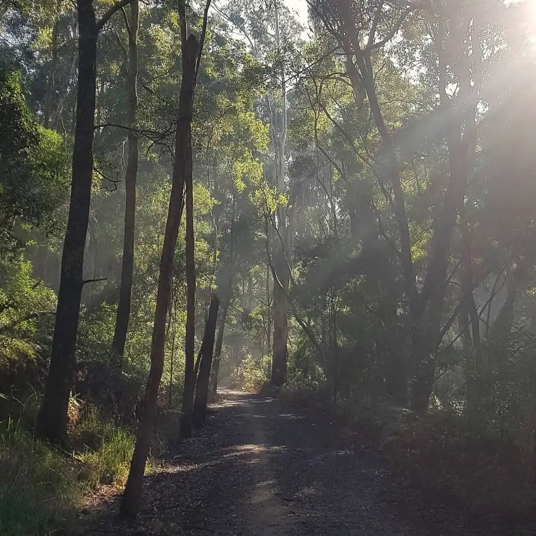 Great Ocean Road tour from Melbourne