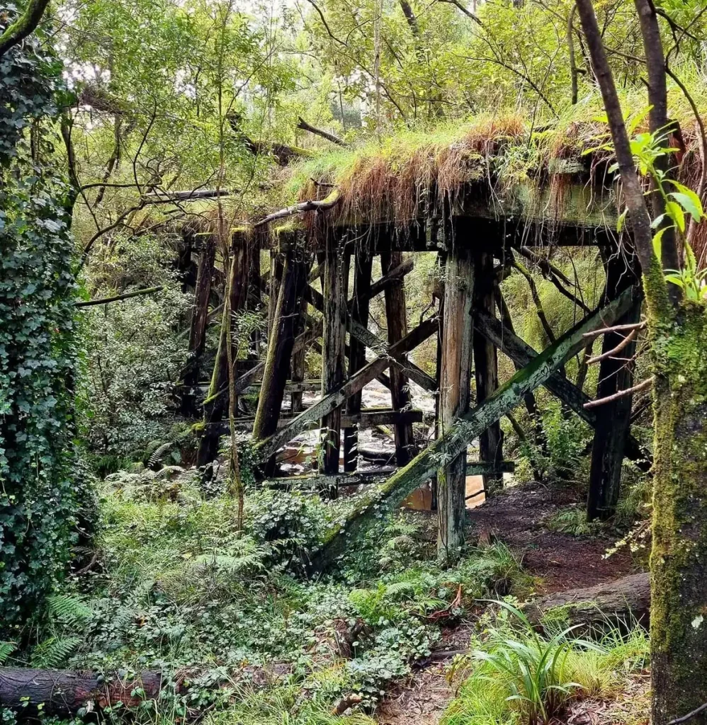 Is The Timboon ‘Rail Trail’ Walkable In A Day?