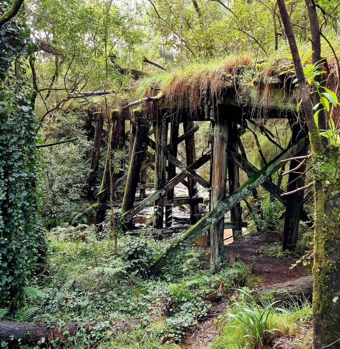 Is The Timboon ‘Rail Trail’ Walkable In A Day